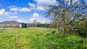 Photo 22- click for photo gallery